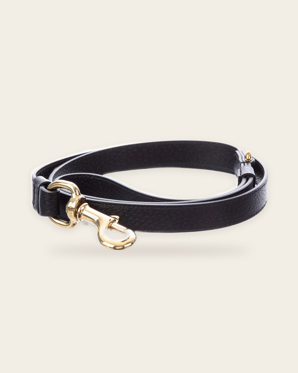 Interlocking G Dog Leash