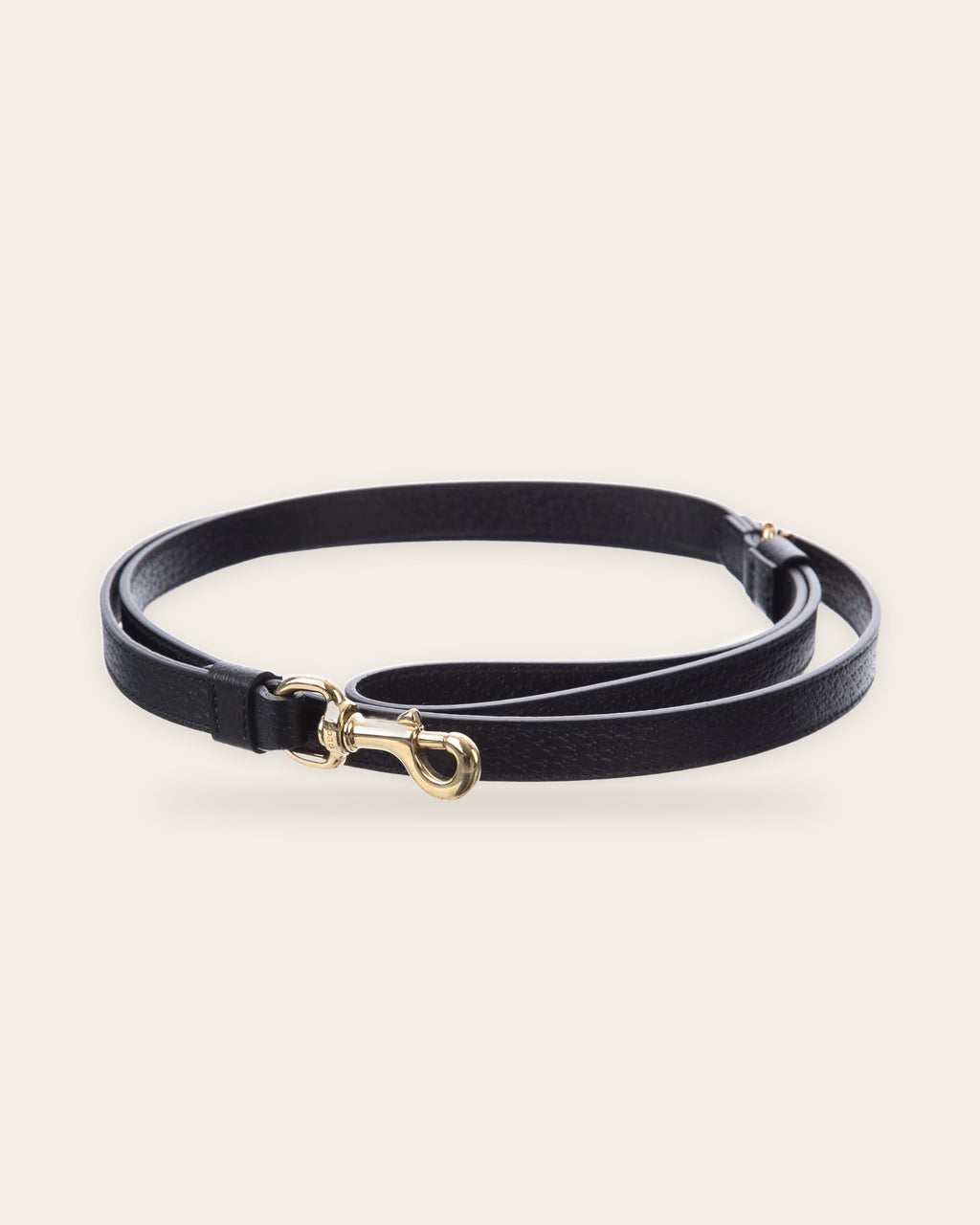 Interlocking G Dog Leash, alternate view