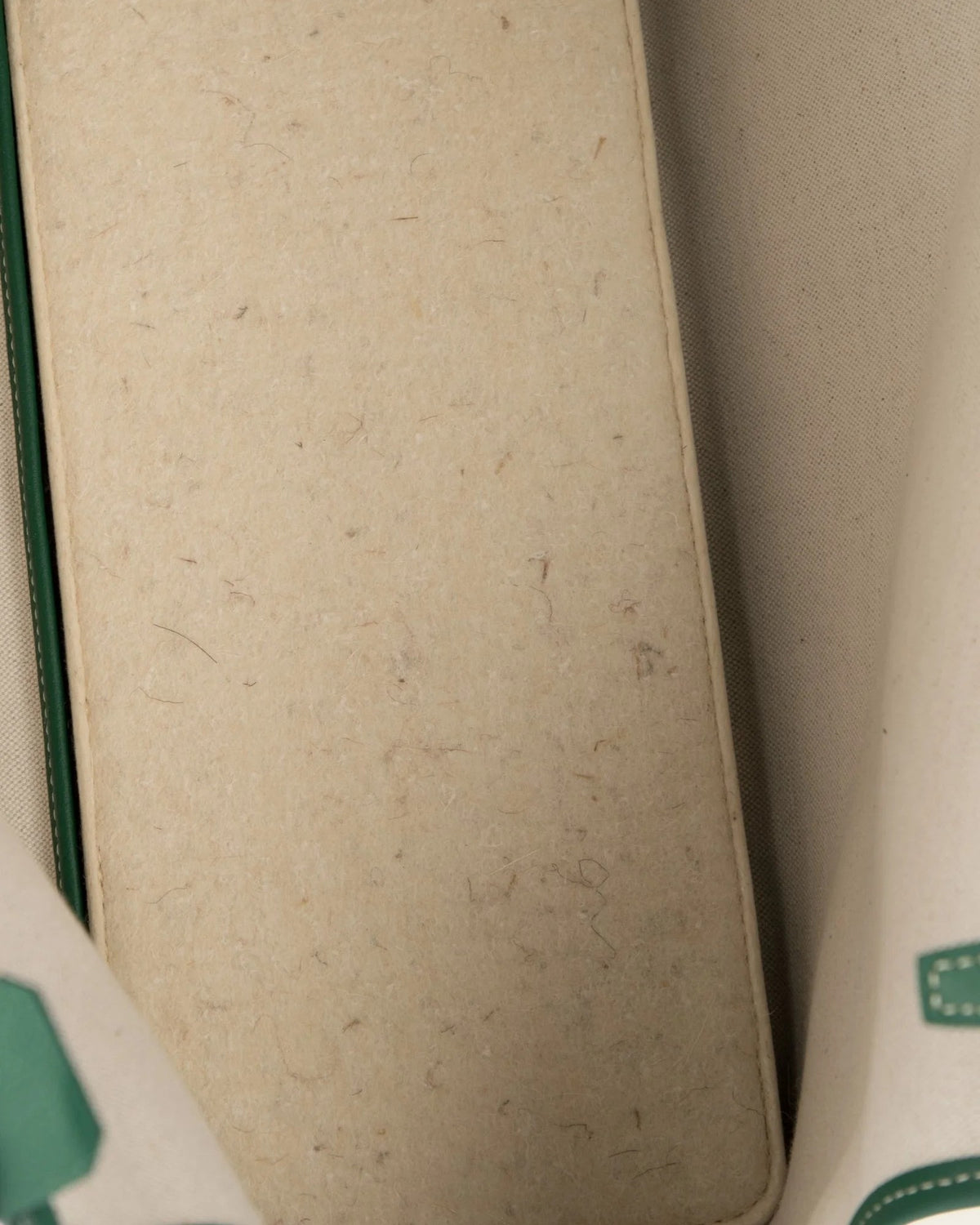 Chien Gris Pet Carrier in green, detail