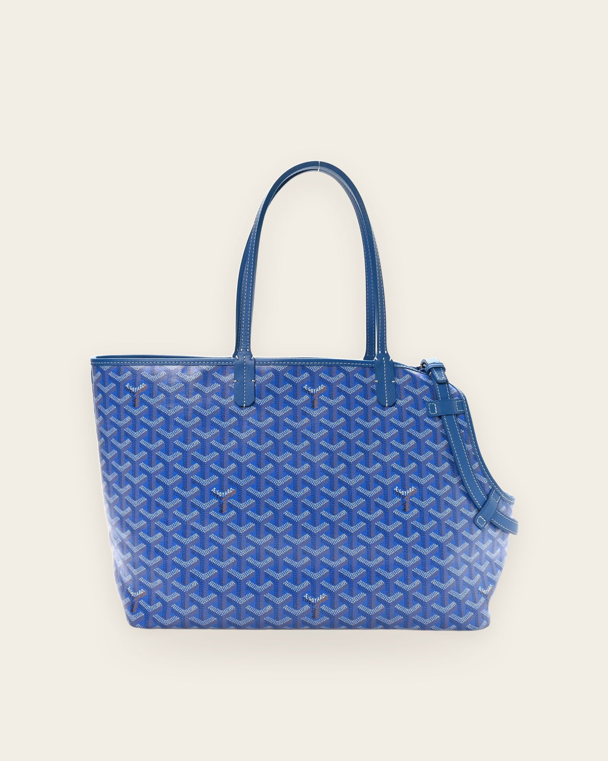 Chien Gris Pet Carrier in sky blue