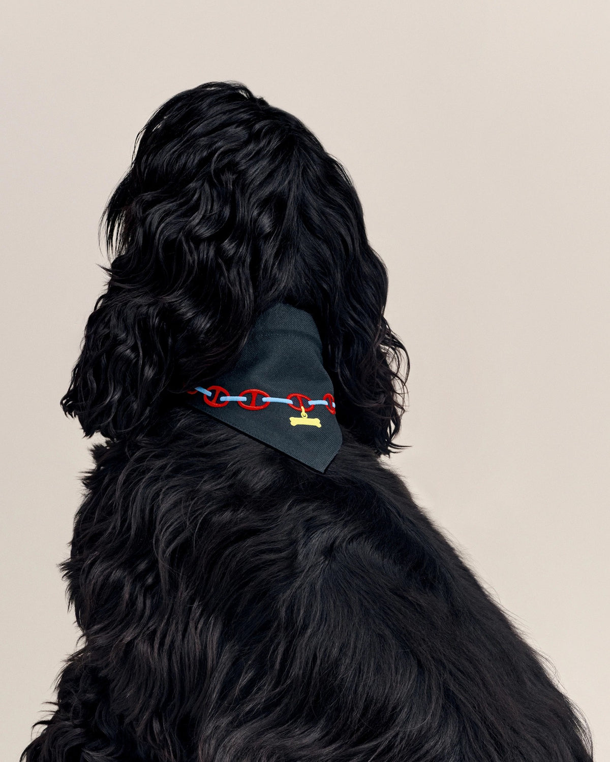 Black spaniel wearing the Maillons Dog Bandana in navy