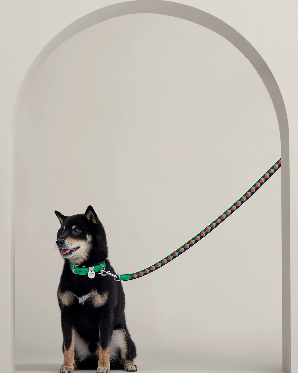 Shiba Inu on the Médor Dog Leash in green