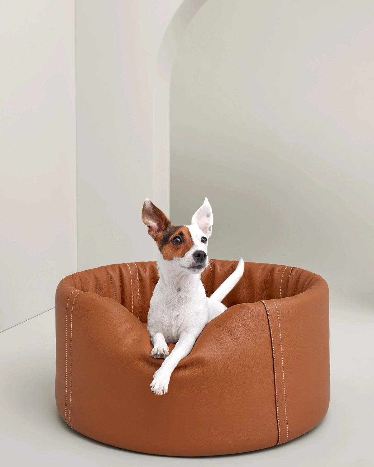 Jack Russell terrier in the medium Patapouf Dog Bed