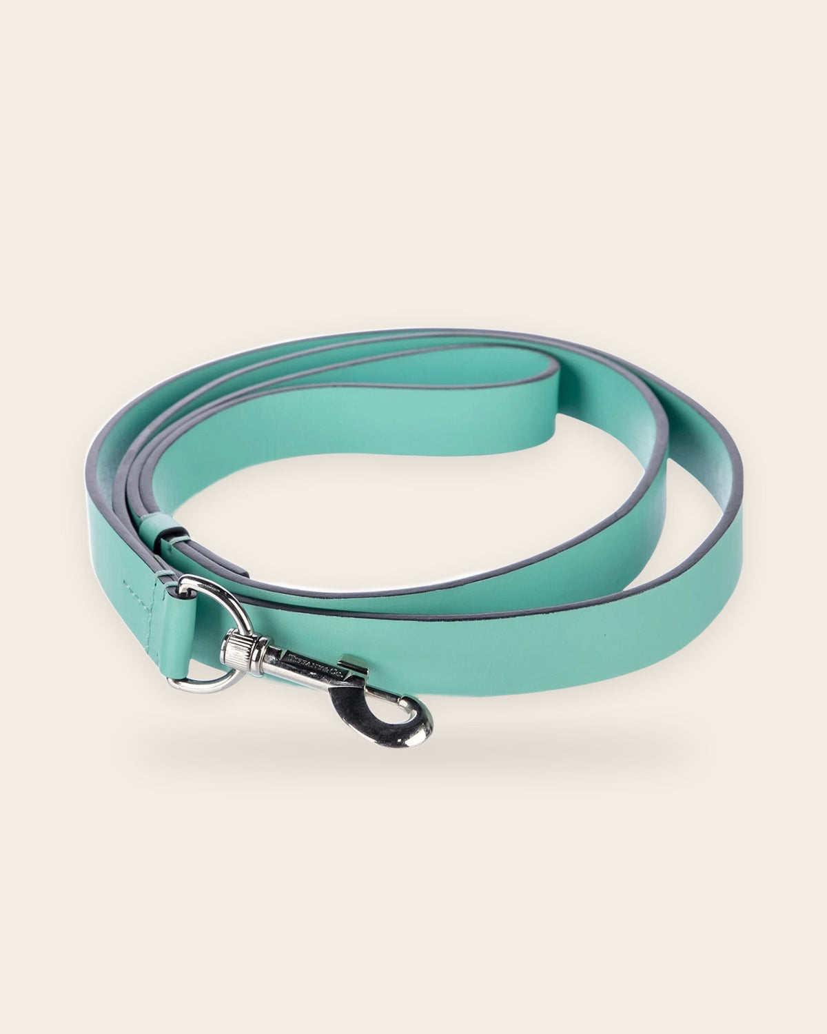 Pet Leash