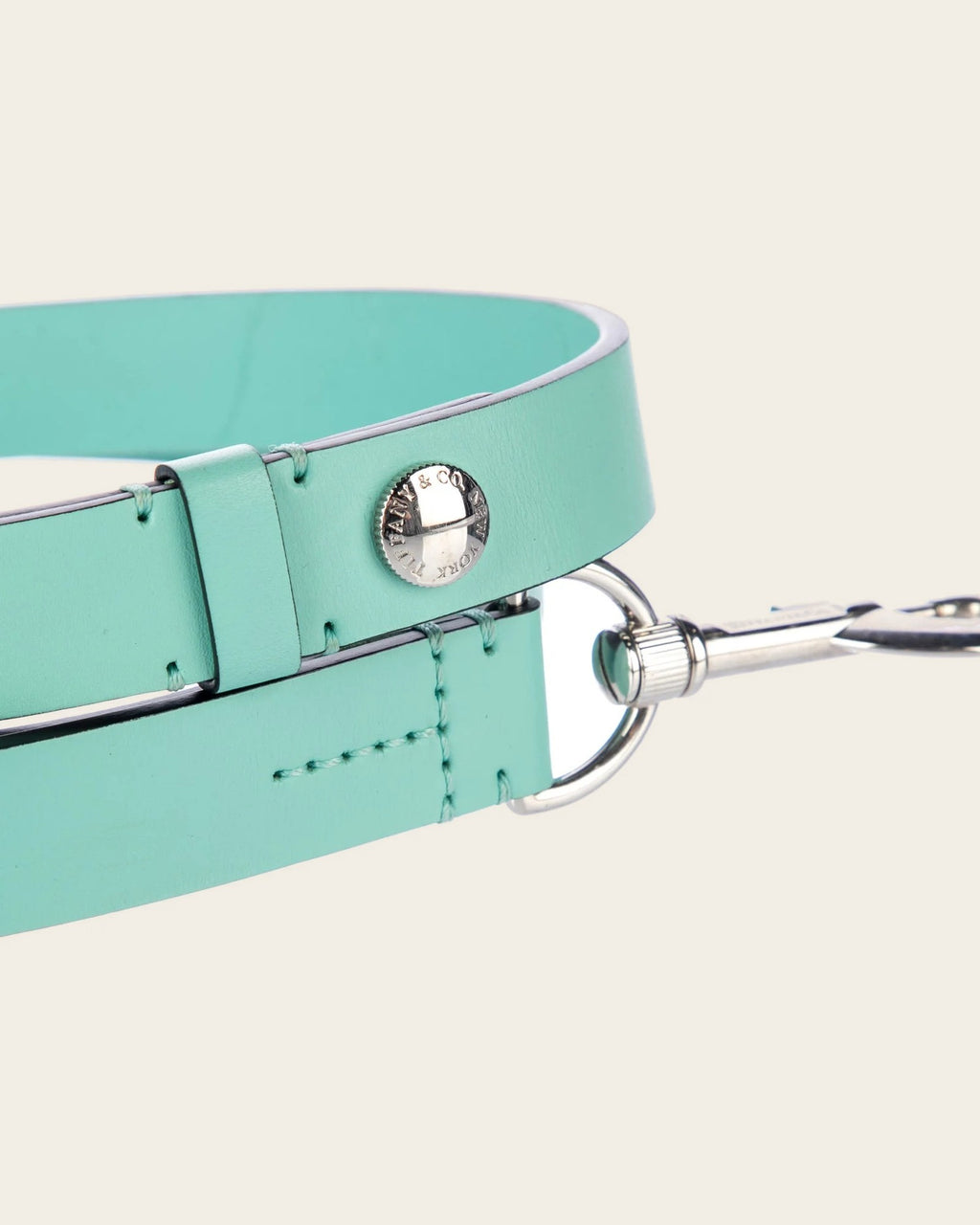 Pet Leash, detail