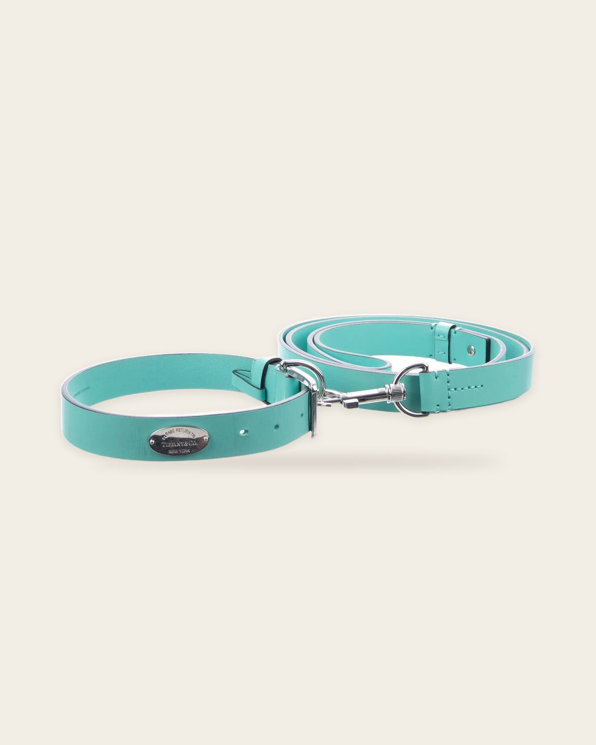 Pet Collar & Leash Set