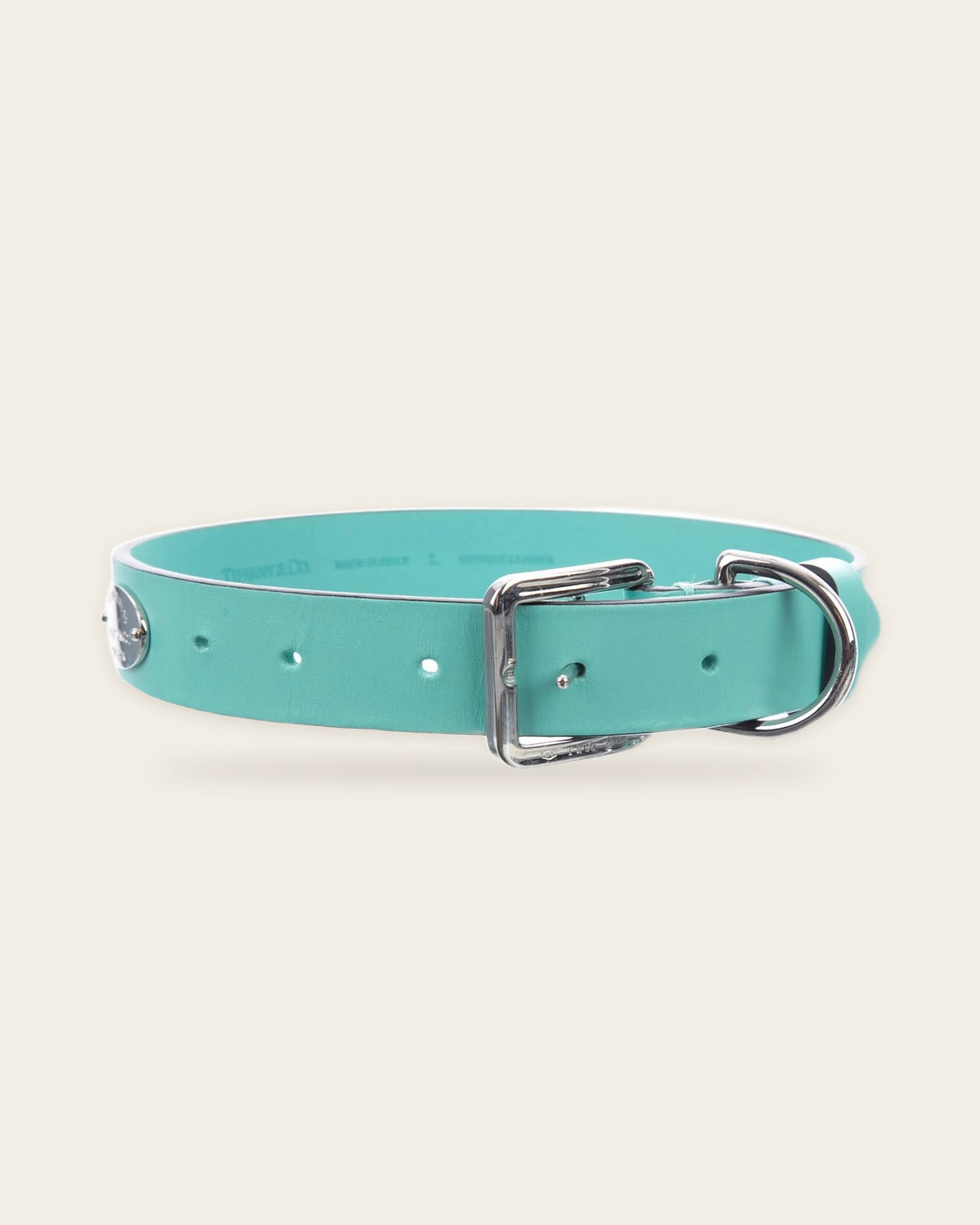 Pet Collar & Leash Set, alternate view