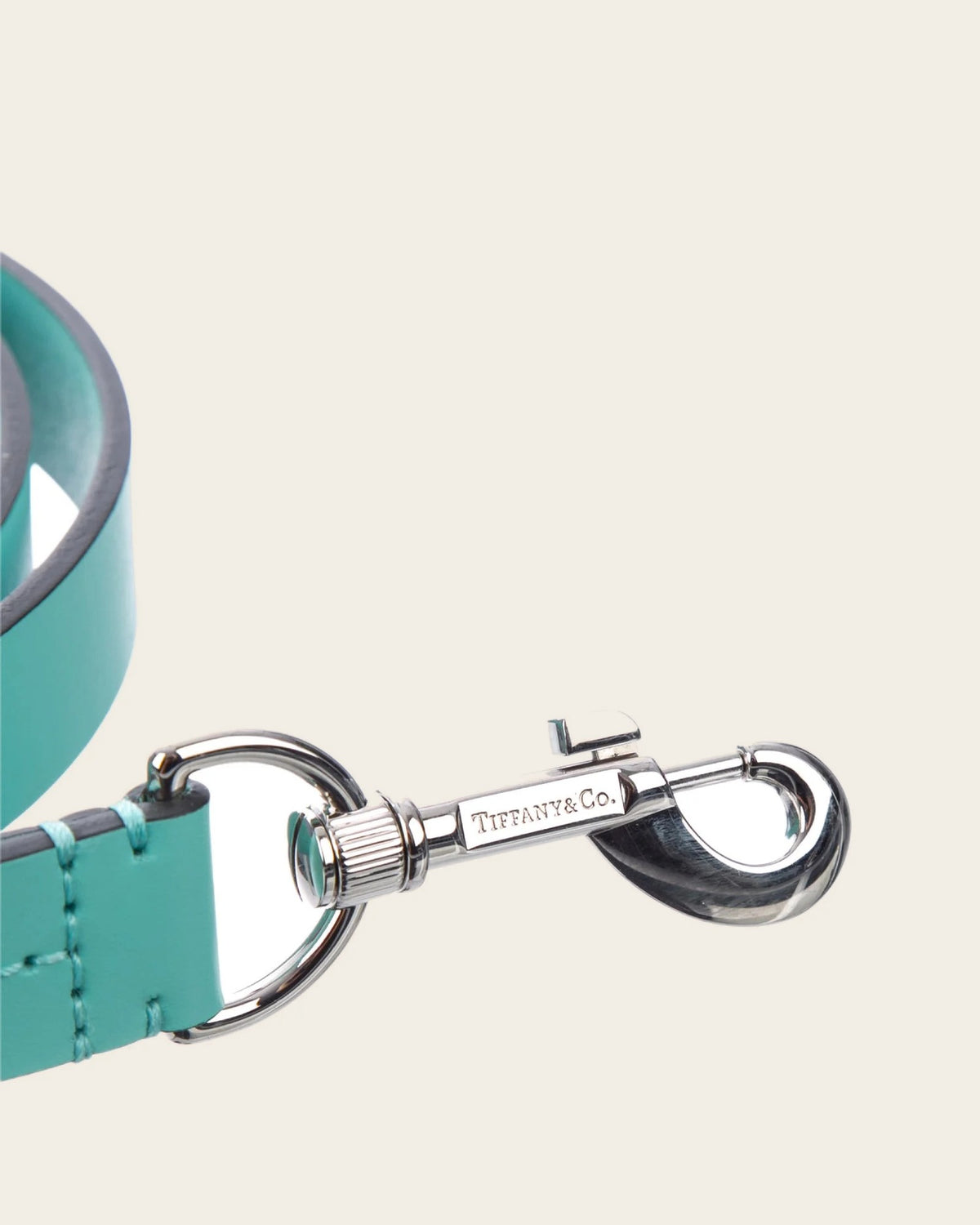 Pet Collar & Leash Set, detail