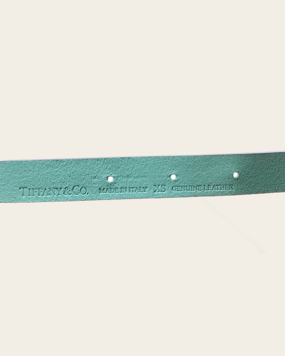 Tiffany & Co. Return to Tiffany Dog Collar in size XS, detail